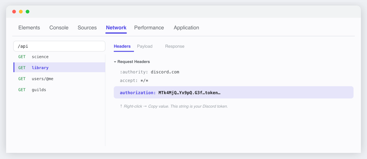 The authorization request header containing the Discord token in the Network tab
