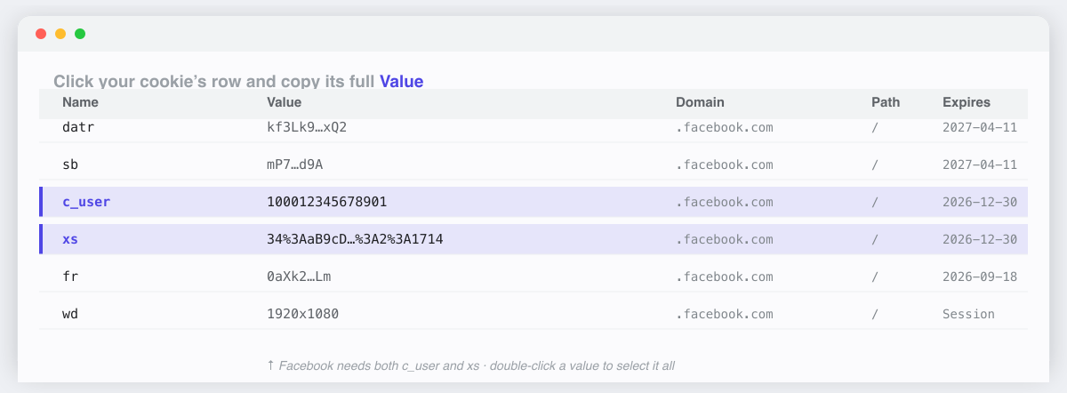 Find the c_user and xs cookies and copy the value